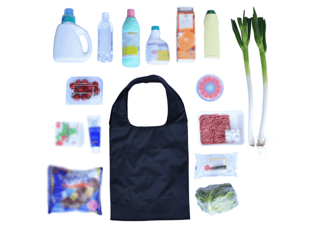 Negi First Eco Bag