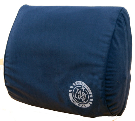 Travel back cushion